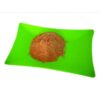 FARINHA ROSCA NICOLINI 250G