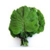 COUVE VERDE UN