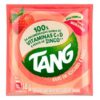 REFRESCO TANG MORANGO 18G