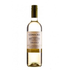 VINHO TARAPACA COSECHA SAUV BLA 750ML
