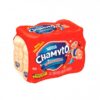 LEITE FERMENTADO NESTLE CHAMYTO 450G
