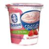 IOGURTE GREGO MOR PED 450