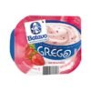 IOGURTE GREGO MORANGO 100
