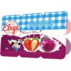 BEBIDA LACTEA ELEGE MORANGO AMEIXA 510G