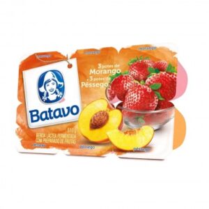 BEBIDA LACTEA BATAVO POLPA MOR PES 510G