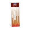CONJ TRAMONTINA CHURRASCO 3PC