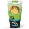 SUCO KAPO NECTAR ABACAXI 200ML