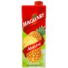 SUCO MAGUARY ABACAXI CONC1L