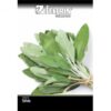 SEMENTE FELTRIN SALVIA P/TEMPERO