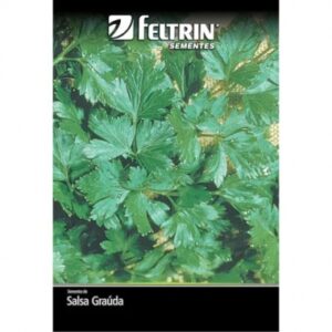 SEMENTE FELTRIN SALSA GRAUDA PORT