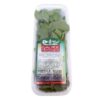 HORTI HORTELA GAUER TEMPE