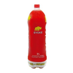 ENERGETICO EVOKE ENERGY DRINK 2L