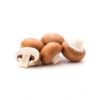 HORTI COGUMELO CASTANHO 2